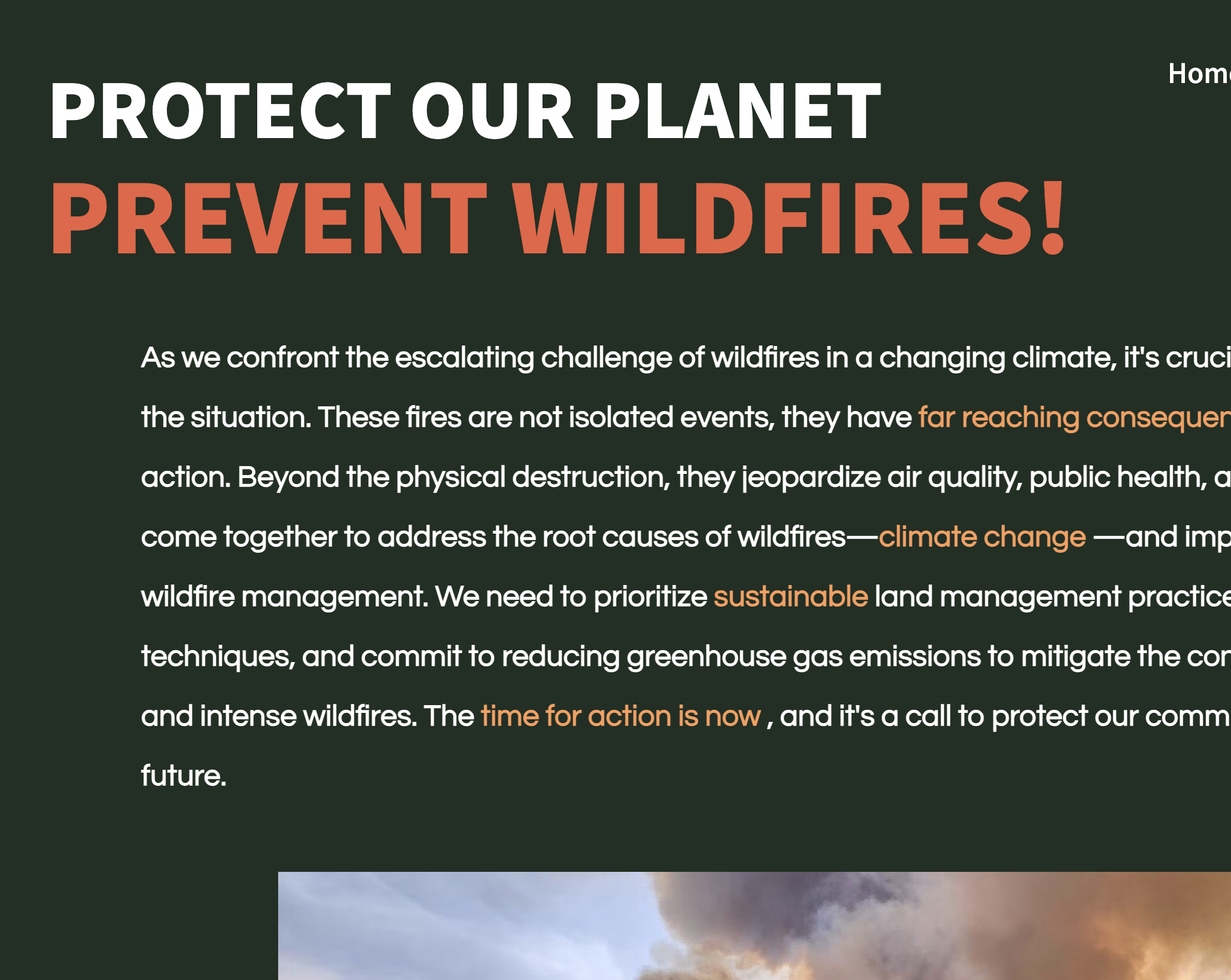 Wildfire Prevention website preview